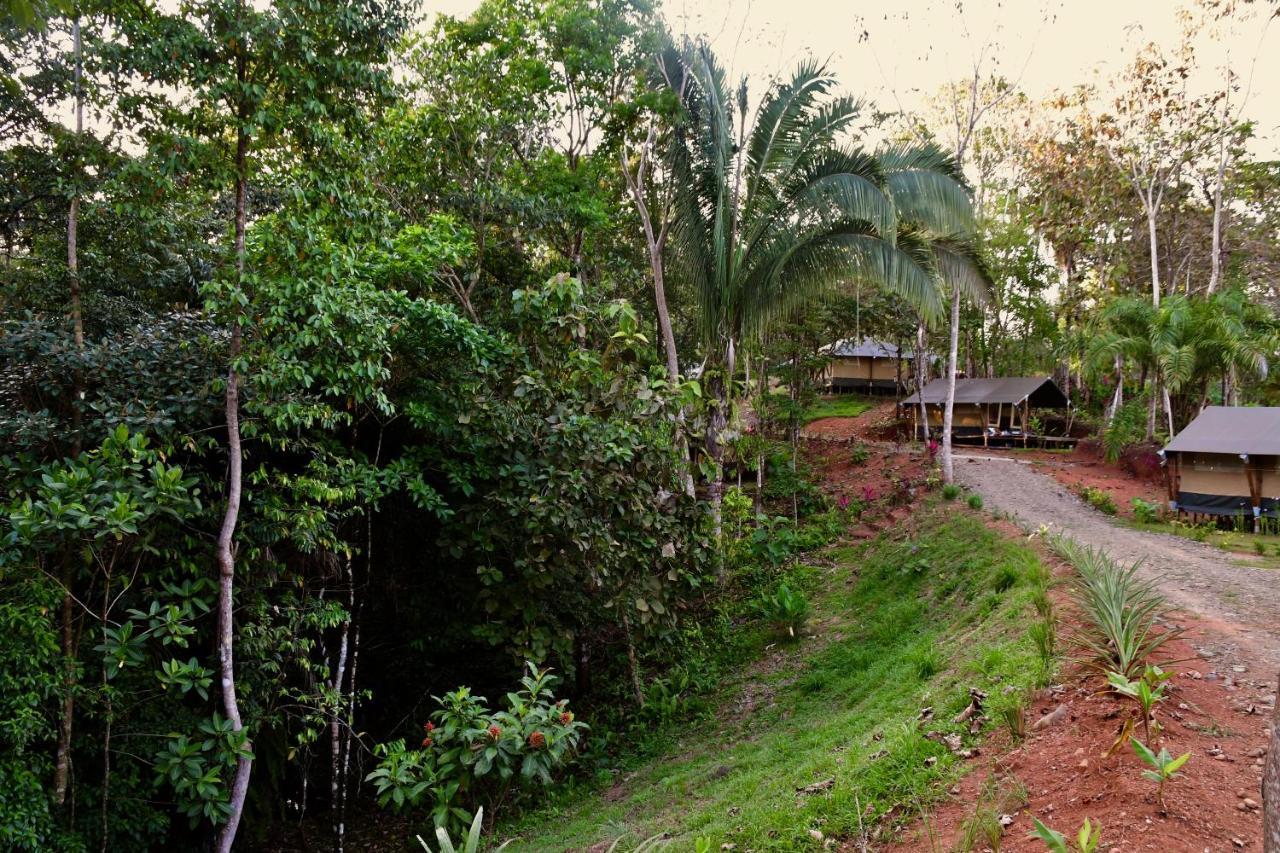 El Pulpo Safari Lodge 오호찰 외부 사진