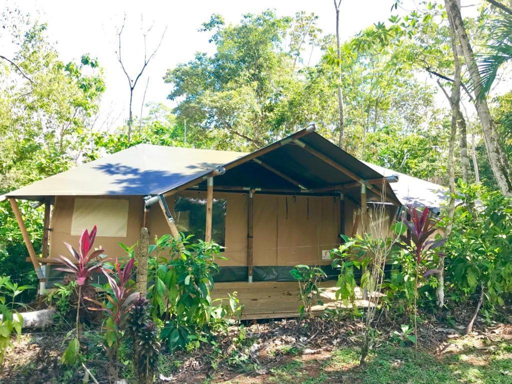 El Pulpo Safari Lodge 오호찰 외부 사진