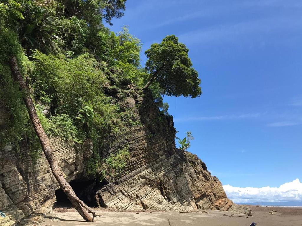 El Pulpo Safari Lodge 오호찰 외부 사진