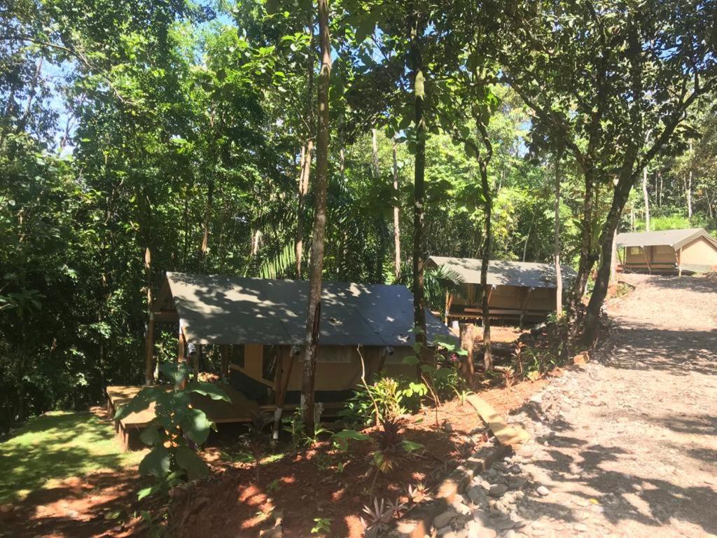 El Pulpo Safari Lodge 오호찰 외부 사진