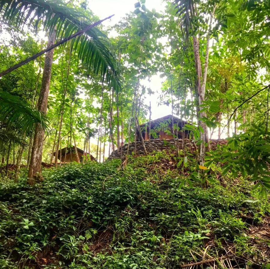 El Pulpo Safari Lodge 오호찰 외부 사진