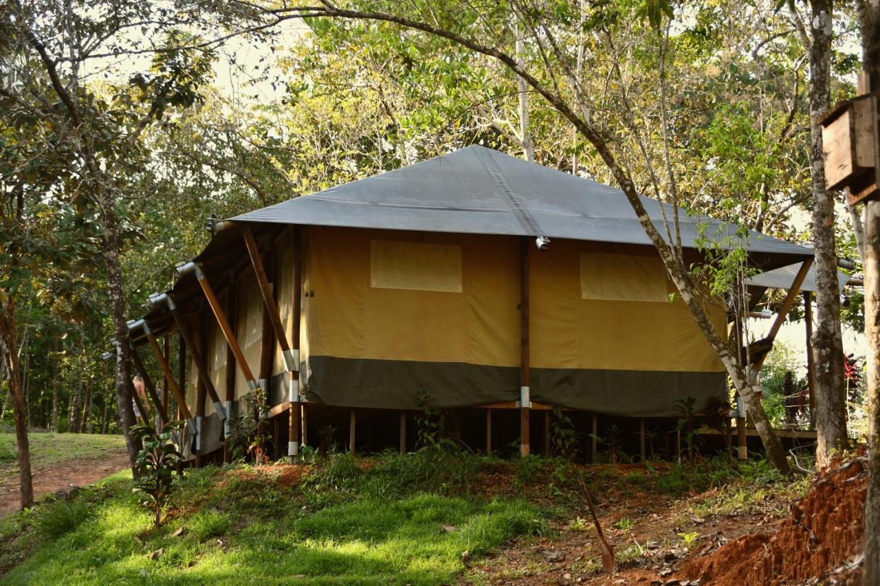 El Pulpo Safari Lodge 오호찰 외부 사진