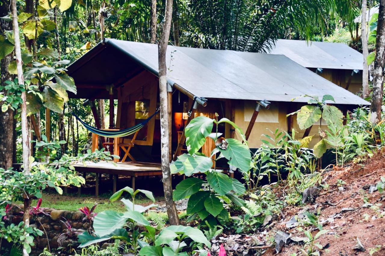 El Pulpo Safari Lodge 오호찰 외부 사진
