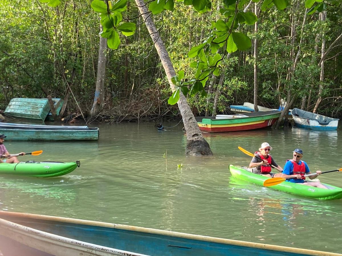 El Pulpo Safari Lodge 오호찰 외부 사진
