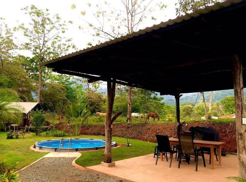 El Pulpo Safari Lodge 오호찰 외부 사진